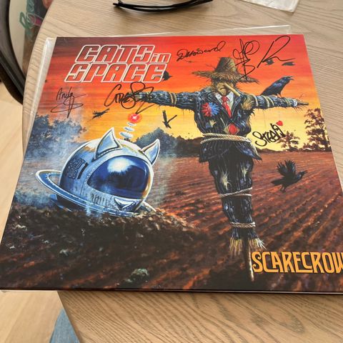 Cats In Space – Scarecrow  Lp - Uk - First and only vinyl press - SIgnert!