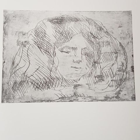 Edvard Munch - Pikehode med utslått hår (plakat)
