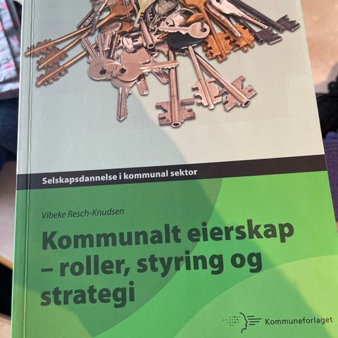 Kommunalt eierskap - roller, styring og strategi