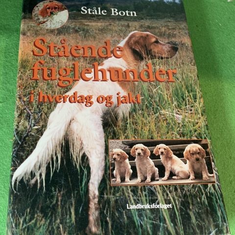 Ståle Botn - Stående fuglehunder i hverdag og jakt (1999)