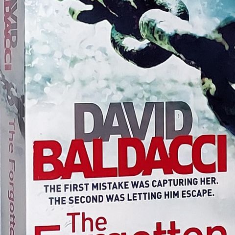 DAVID BALDACCI BOK.THE FORGOTTEN.