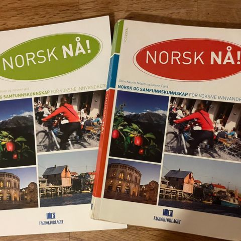 NORSK NÅ! Arbeidsbok og teoribok.