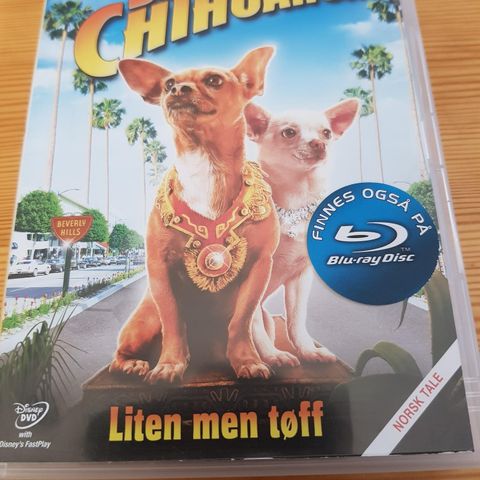 Beverly Hils Chihuahua