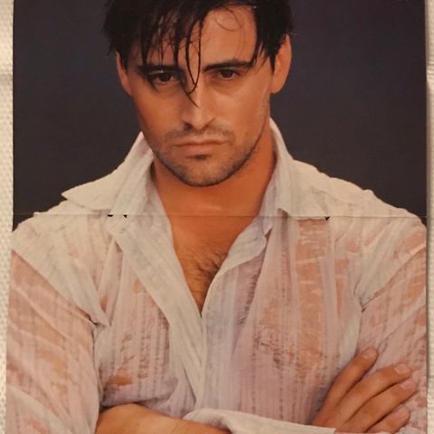 Plakat Matt LeBlanc - Cranberries - Bud ønskes