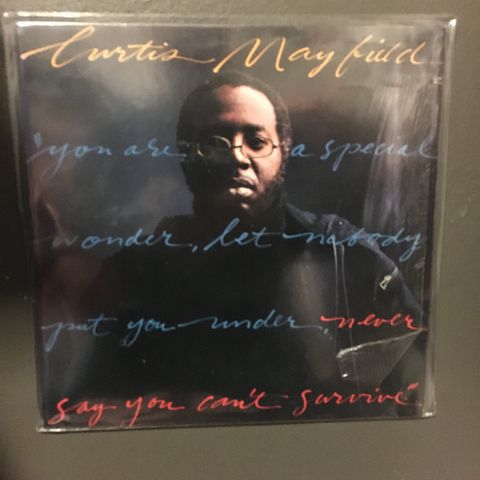 Curtis Mayfield - Never Say You can't Survive