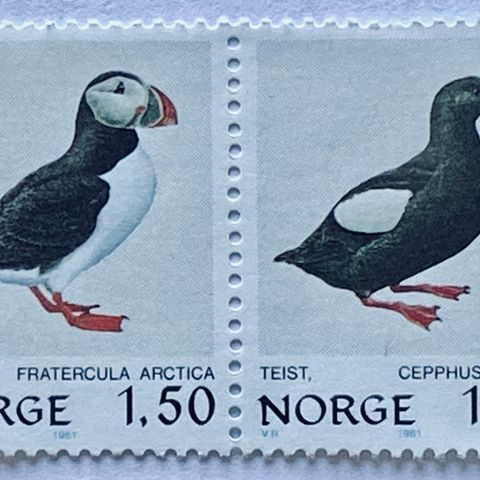 Norge 1981  Norske fugler II  NK 877 - 878  S 11  Postfrisk