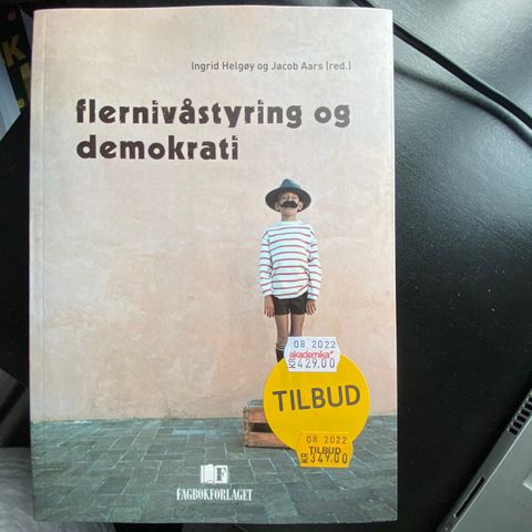 Flernivåstyring og demokrati