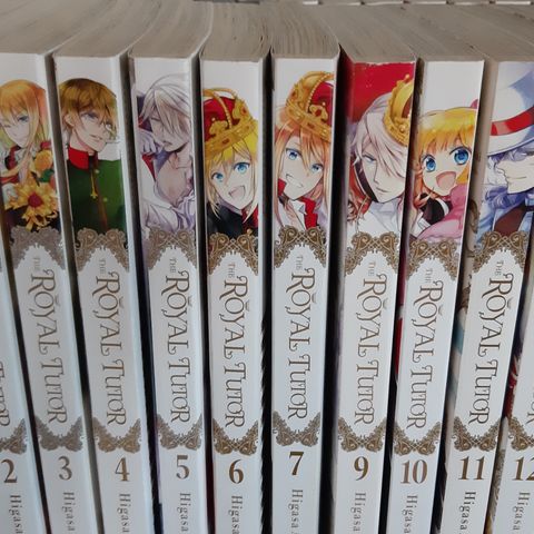 Royal Tutor manga vol. 1 - 13 (mangler vol. 8)