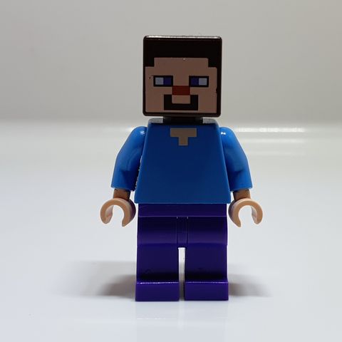 LEGO Minecraft | Steve (min009)