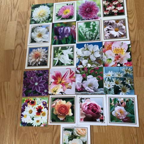Diverse postkort med rose og blomstermotiv, til alle anledninger