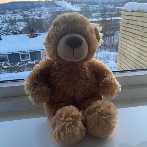 Bamse fra build a bear