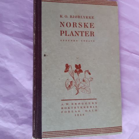 Norske planter