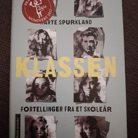 KLASSEN – Fortellinger fra et skoleår - Marte Spurkland