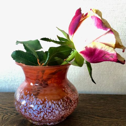 Vase - Gro Bergslien