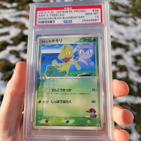 PSA 10 ASH'S TREECKO