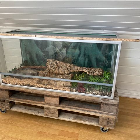 Terrarium H50xB110xD45