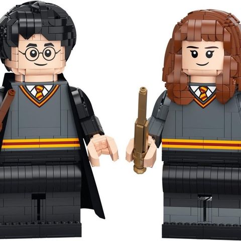 NY LEGO Harry Potter 76393 Harry Potter og Hermine Grang