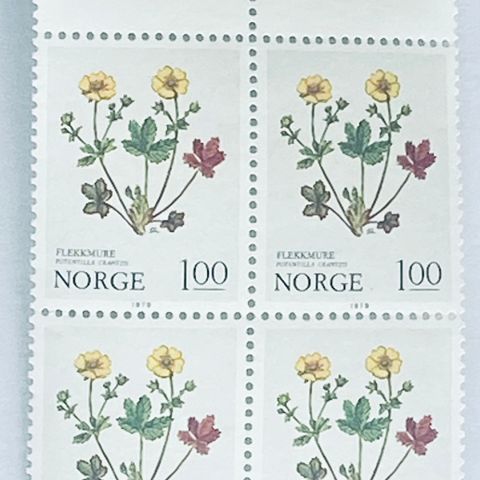 Norge 1979 Blomstermerker flekkmure  NK 855   4-blokk  Postfrisk