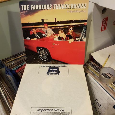 The Fabulous Thunderbirds t-bird rhythm