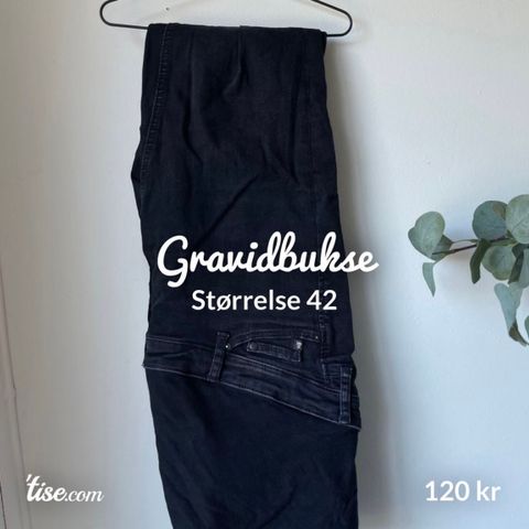 Gravidbukse