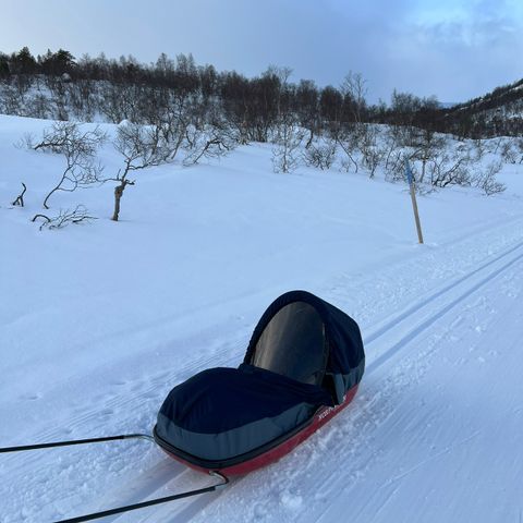 Pulk (Fjellpulk/barnepulk) leies ut!