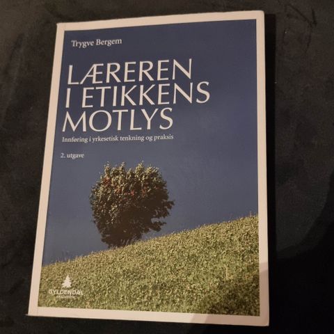 Læreren i etikkens motlys