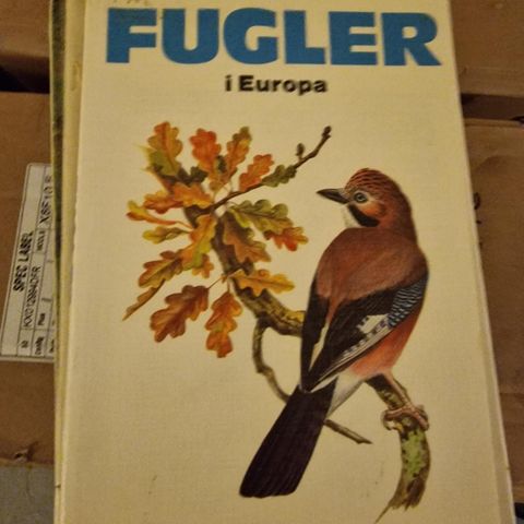 Fugler i Europa