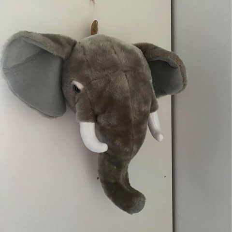 Elefant vegghode.