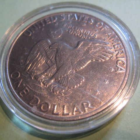 1 Dollar USA  1972 i kapsel