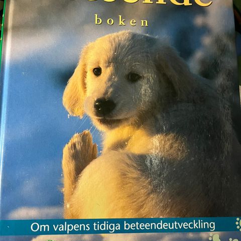 Annonsebilde