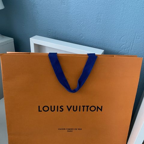 Louis Vuitton pose