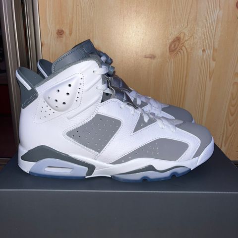 Air Jordan 6 Cool Grey (US10/EU44)