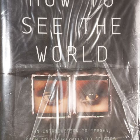 HOW TO SEE THE WORLD (NICHOLAS MIRZOEFF - ISBN: 9780465096008)