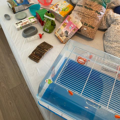 Hamsterbur med nødvendig utstyr