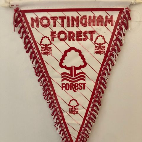 Nottingham Forest - vintage vimpel