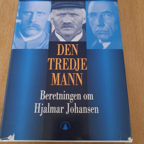 Den tredje mann