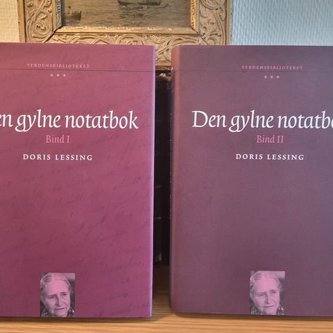 Doris Lessing: Den gyldne notatbok