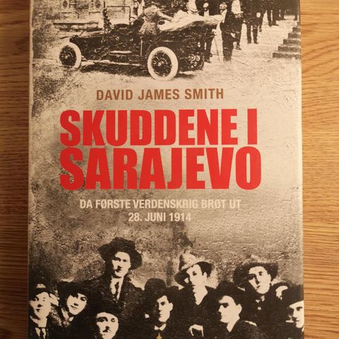 Skuddene i Sarajevo - David James Smith