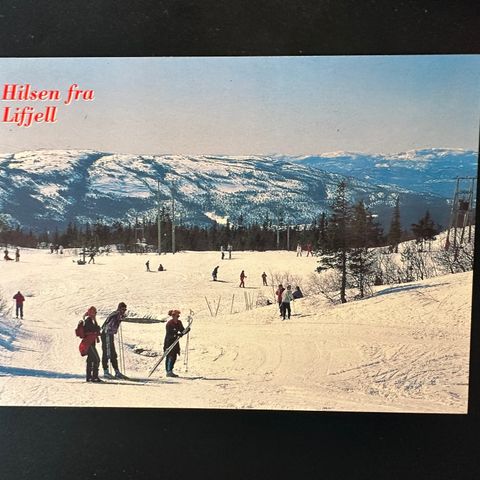 Lifjell i Telemark ubrukt (2002 E)