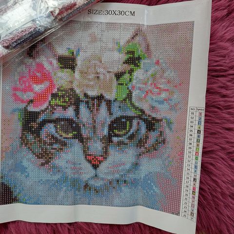 Diamond Painting firkant perler 5D bilde 30 x 30 cm uperlet ny