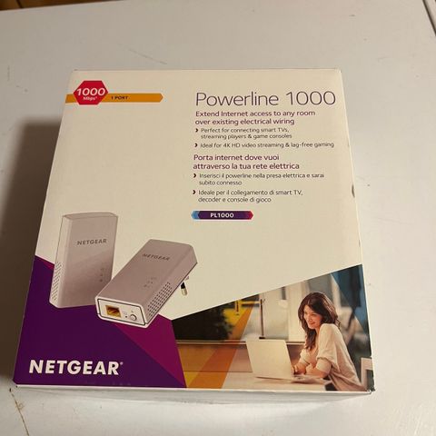 netgear powerline 1000