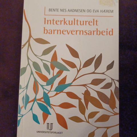 Interkulturelt barnevernsarbeid (2007)