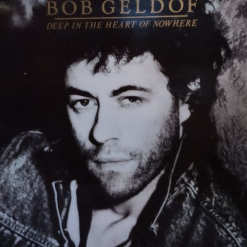 Vinyl LP Bob Geldof