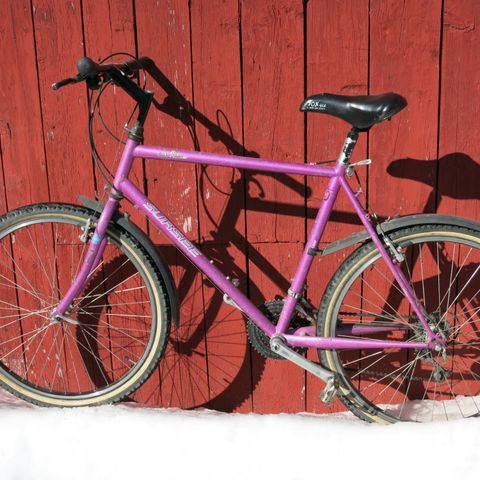 Sykkel / Mountain Bike