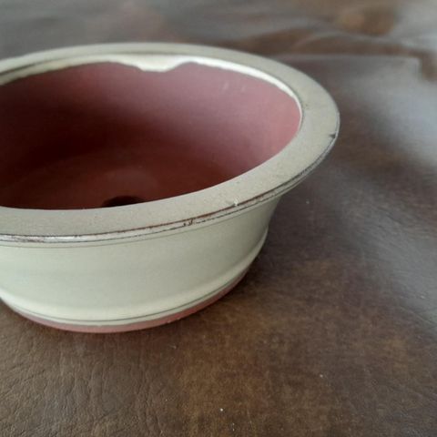Bonsai potte fra Japan