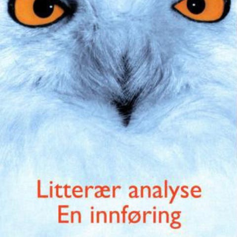 Annonsebilde