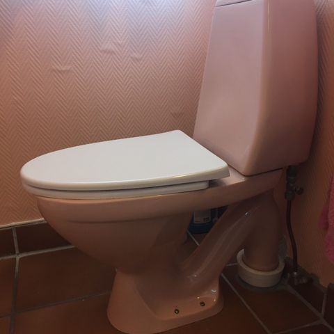 Unik , sjeldent rosa toalett