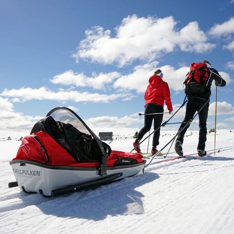 Fint brukt Fjellpulken med ski og Xlink