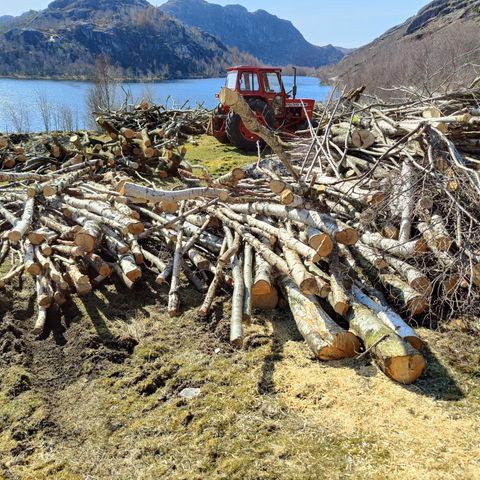 60 liters sekker bjørk og blandingsved med