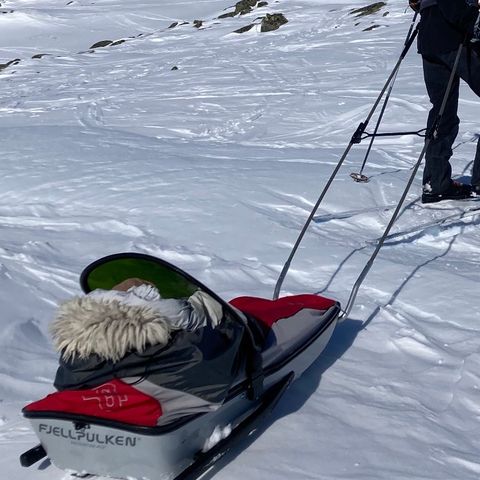 Fjellpulk til leie